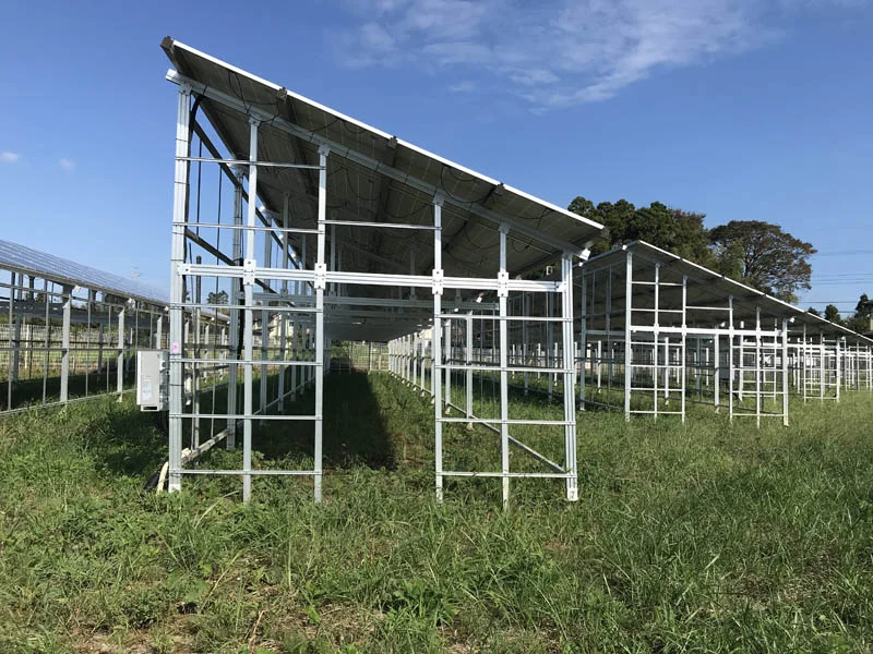 Solar Energy Agricultural Solar Mounting System For Farm
