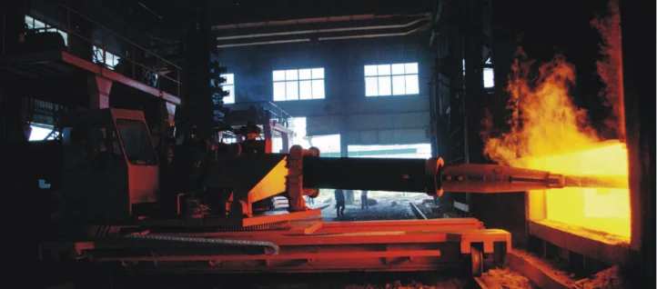 Valve Component Forgings