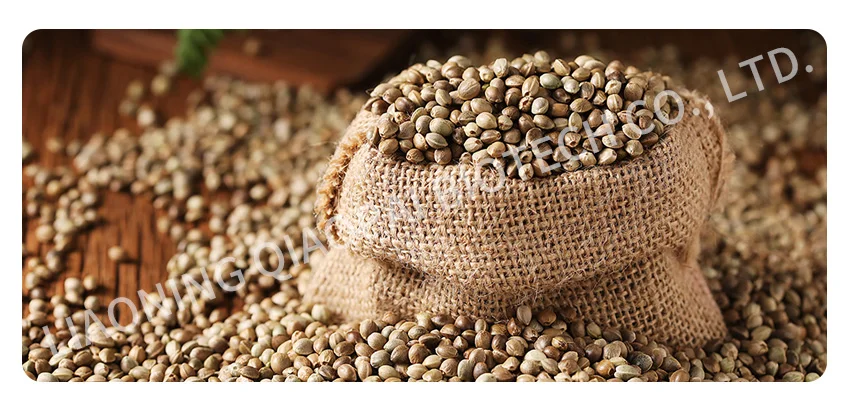 Hemp Seed