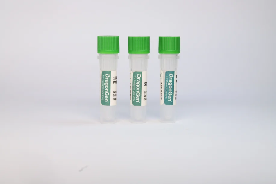 T7 RNA Polymerase