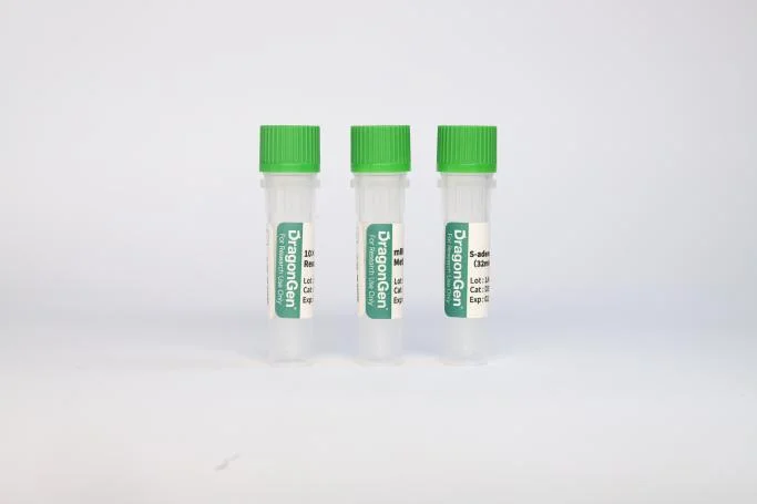 2'-O-Methyltransferase