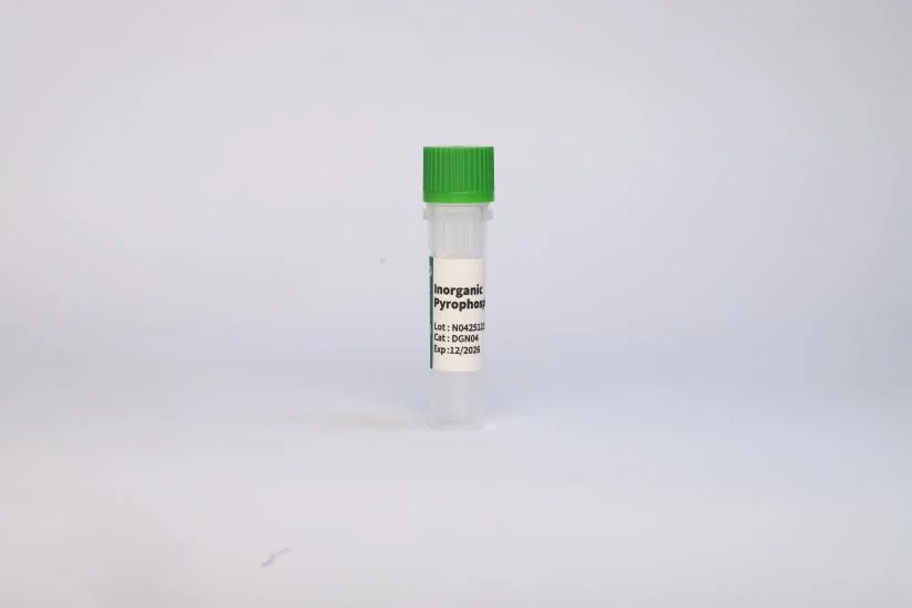 Inorganic Pyrophosphatase