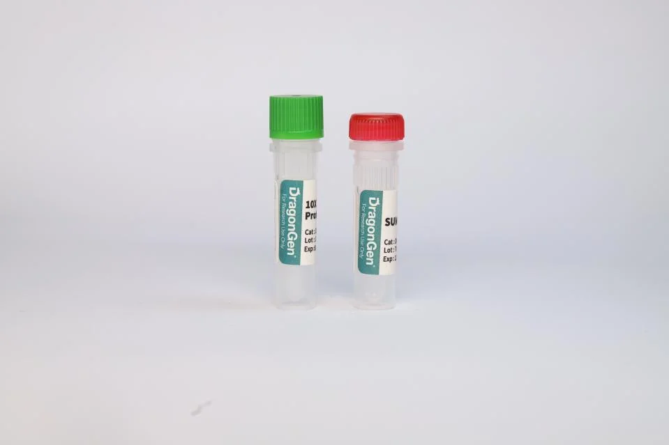 SUMO Protease