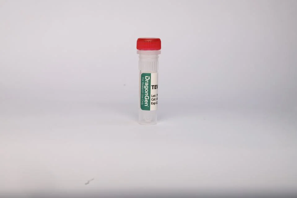 TEV Protease