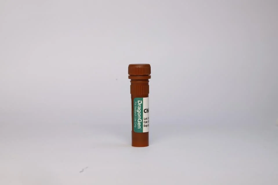 Chitinase