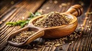 Cumin Seeds