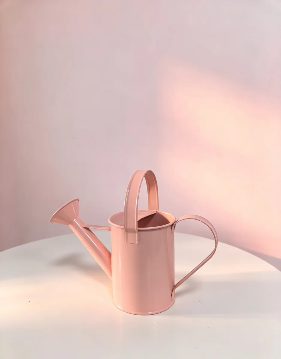 Pastel Pink Metal Watering Can, Decorative Garden Water Pot for Floral Display