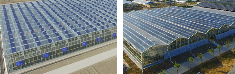 Photovoltaic Greenhouse image 7
