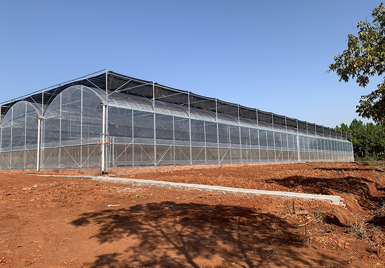 Plastic Circular Greenhouse image 8