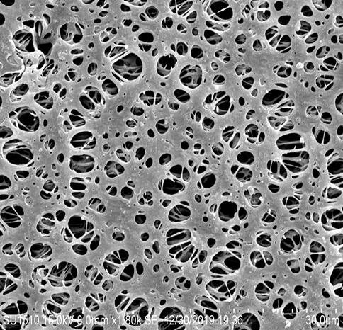 Polyethersulfone (PES) Flat Membrane image 2