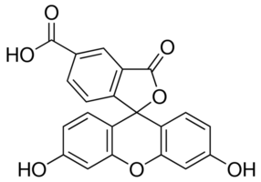 5-FAM - CAS No: 76823-03-5