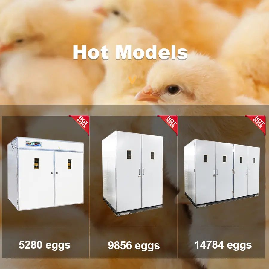 Poultry Farm Agricultural Machinery Automatic Chicken Egg Incubator Hatching 10000 Eggs image 7