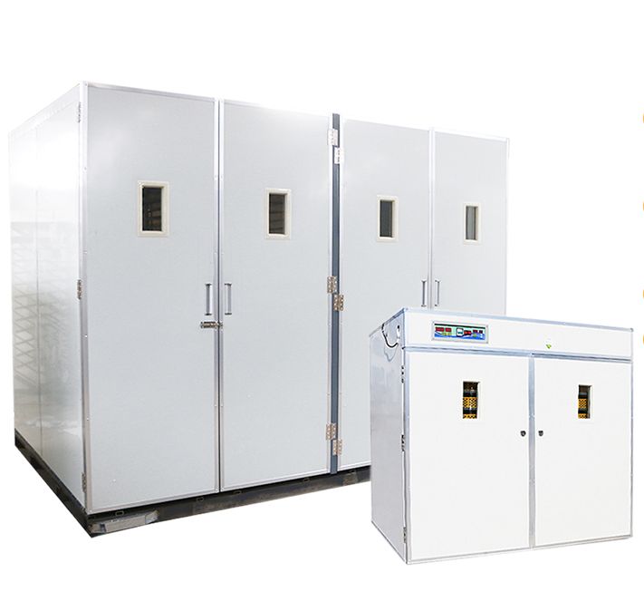 Poultry Farm Agricultural Machinery Automatic Chicken Egg Incubator Hatching 10000 Eggs image 9