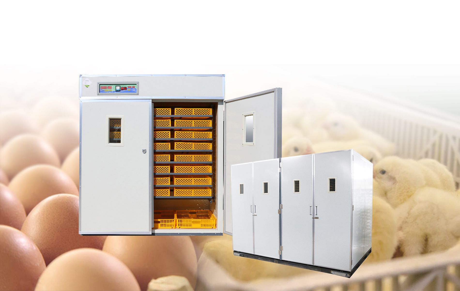 Poultry Farm Agricultural Machinery Automatic Chicken Egg Incubator Hatching 10000 Eggs image 10