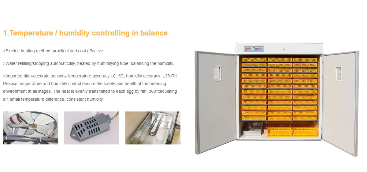 Poultry Farm Agricultural Machinery Automatic Chicken Egg Incubator Hatching 10000 Eggs image 11