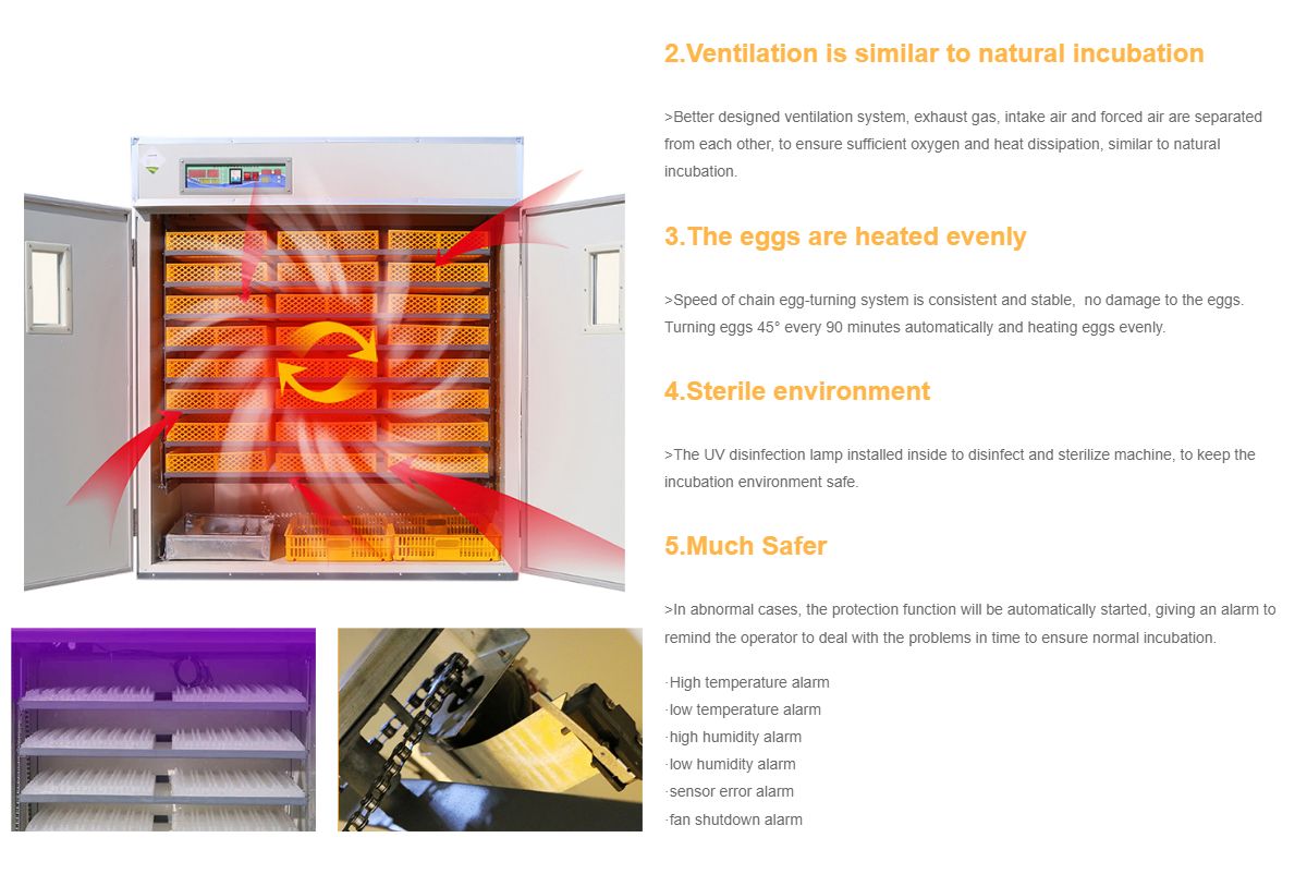 Poultry Farm Agricultural Machinery Automatic Chicken Egg Incubator Hatching 10000 Eggs image 12