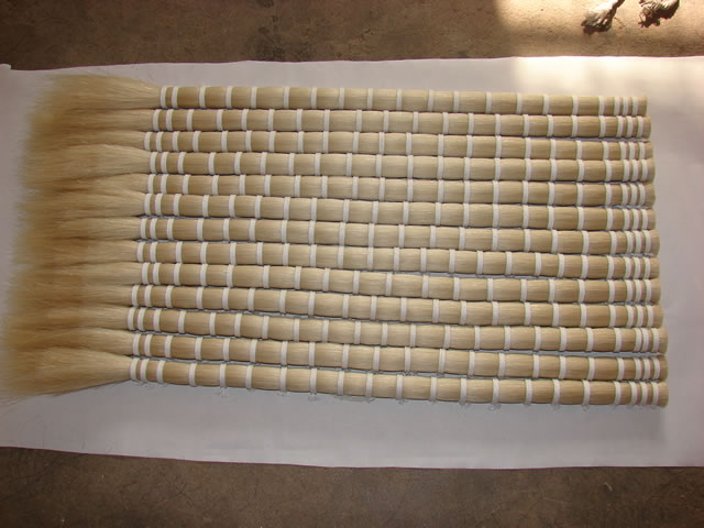 Horse Tail Hair image 1