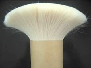 Goat Hair image 1