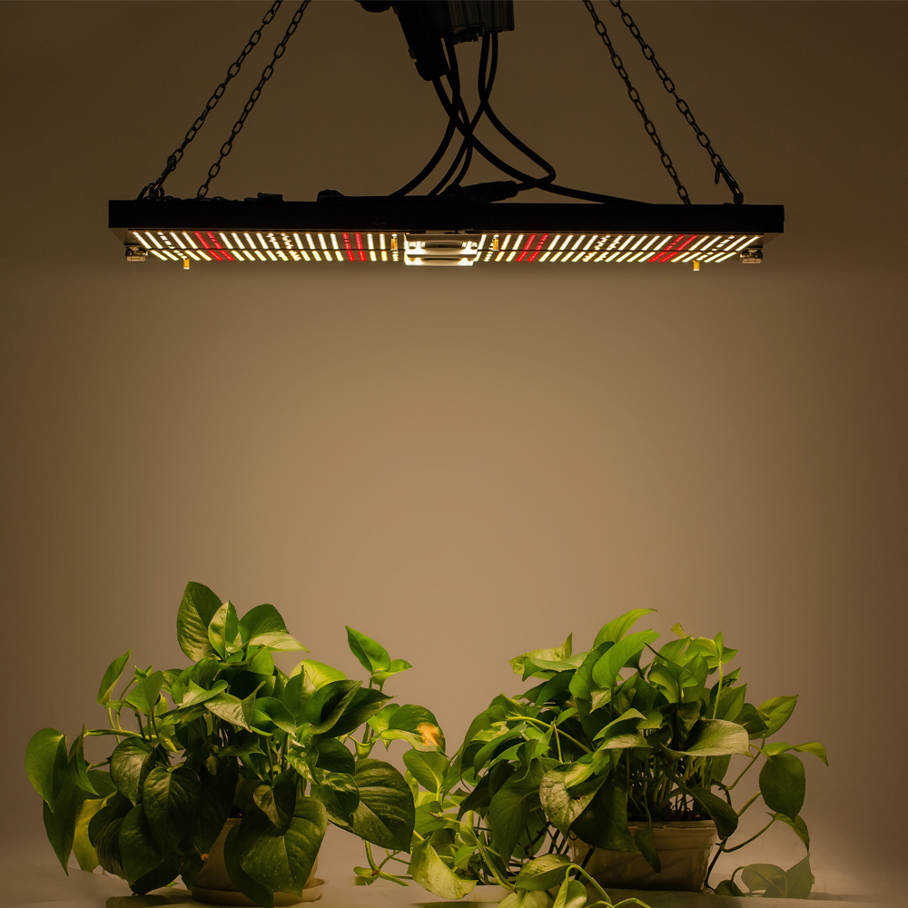 DMXGROW Quantum Board 480W Samsung lm301b 5630 LED Grow Light Board with Full Spectrum for Indoor Medical Plants Growing image 2