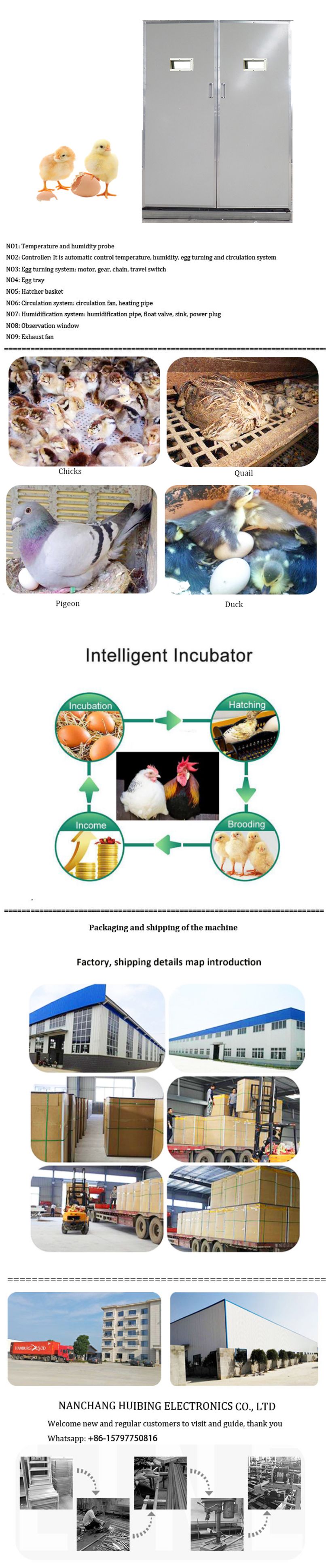 Solar Industrial Chicks Egg Incubator Machine image 5