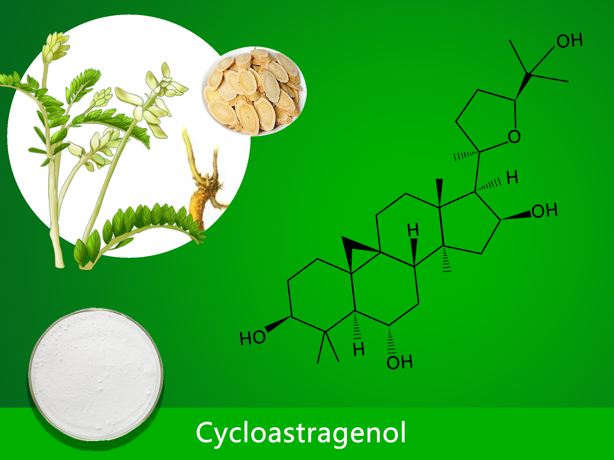 Cycloastragenol (1.00%-99.00%) image 1