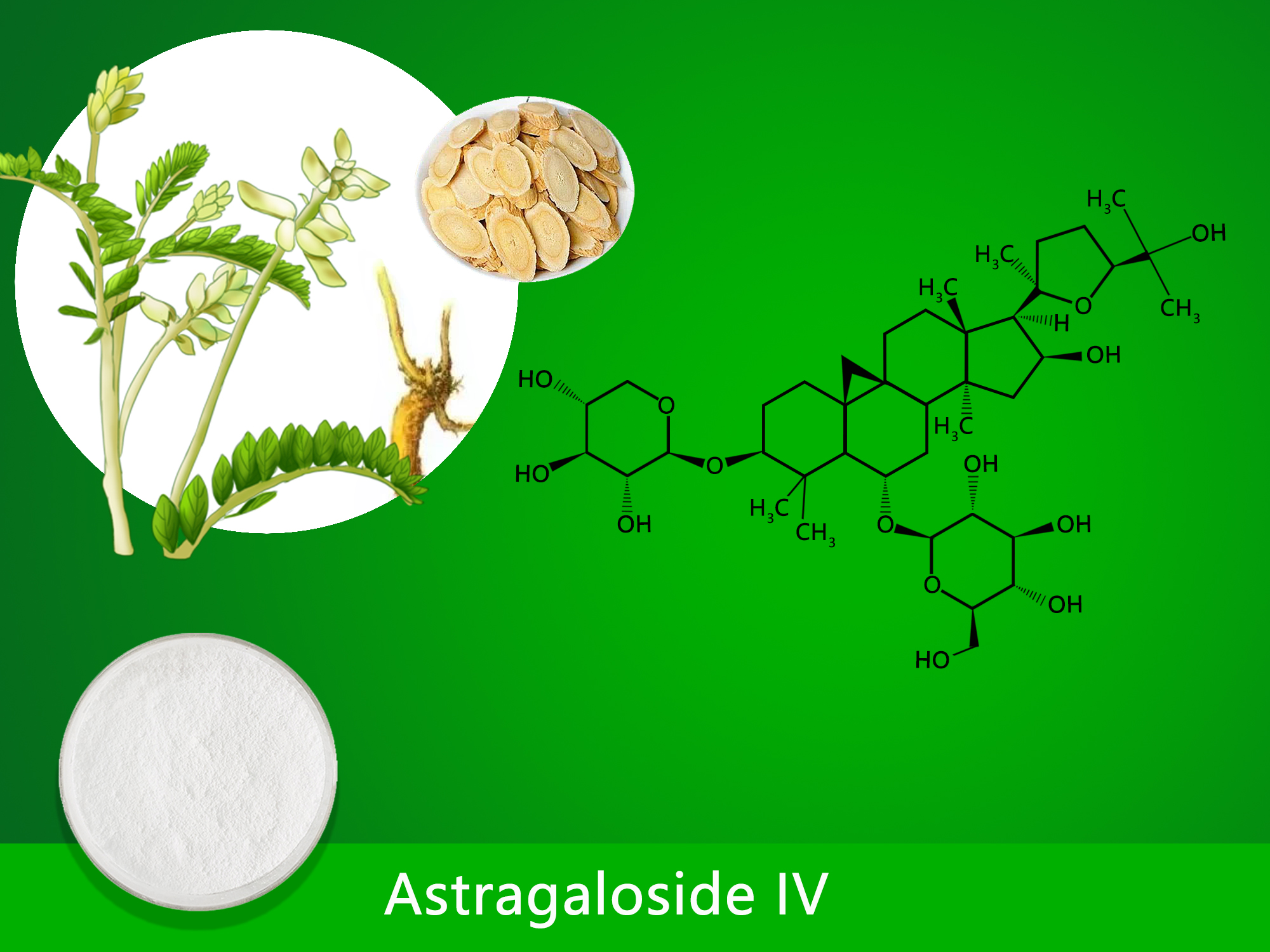 Astragaloside IV (0.30%-99.00%) image 1