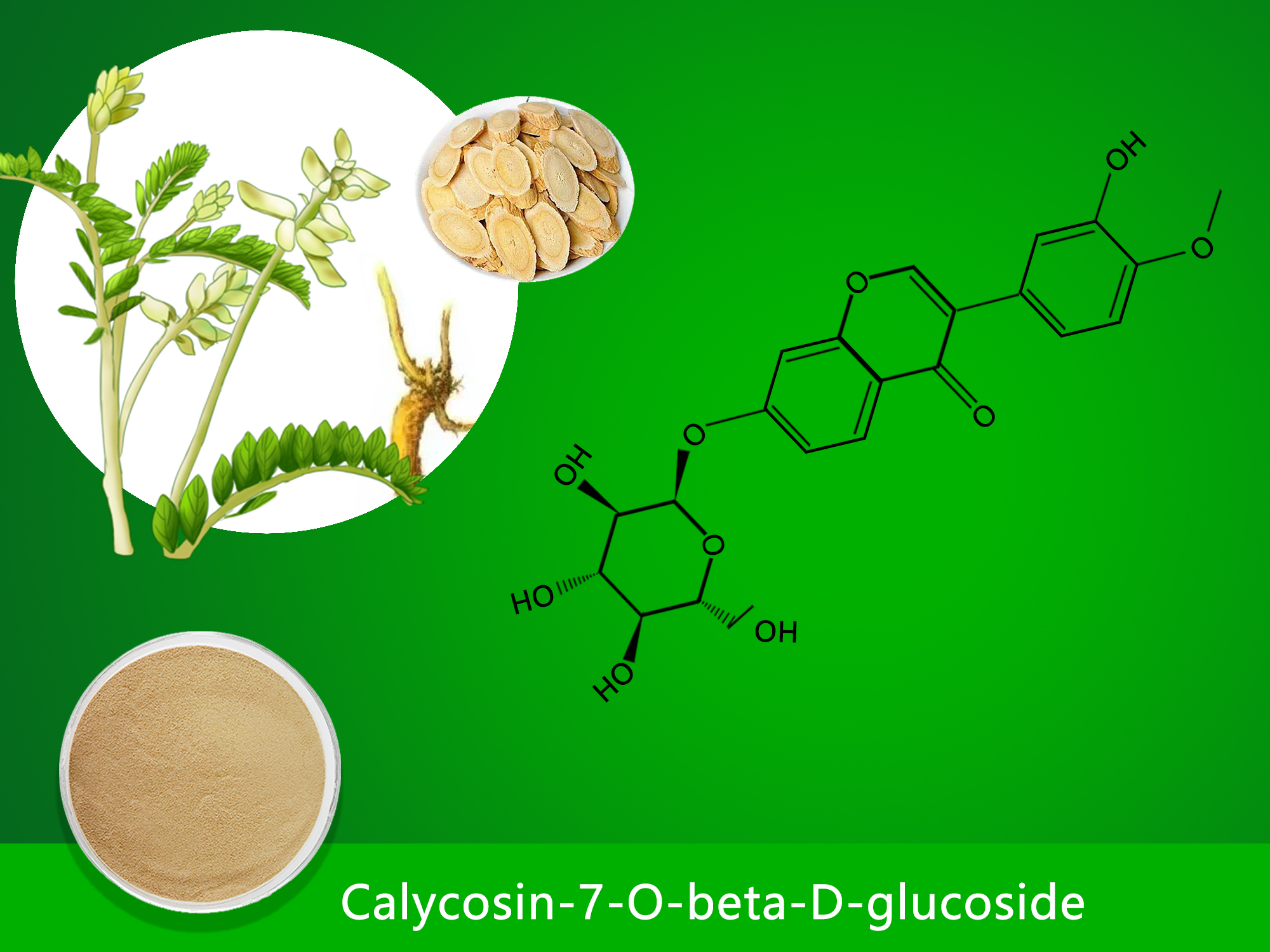 Calycosin-7-O-beta-D-glucoside (0.30%-5.00%)