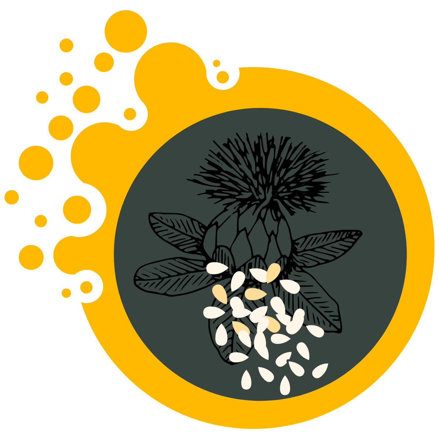 Safflower Oil (1 Lt, 5 Lt and 18 Lt) image 2
