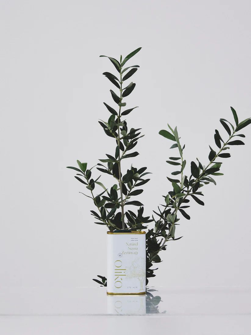 Oliko Early Harvest Cold Pressed Extra Virgin Olive Oil 175 ml image 2