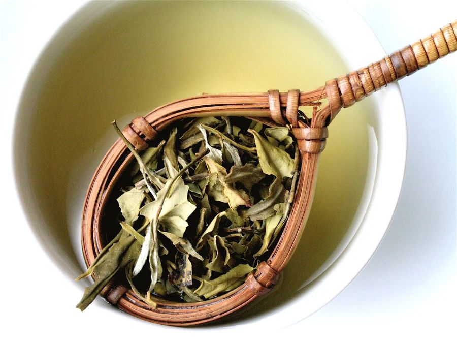 White Tea - White Peony Tea image 3