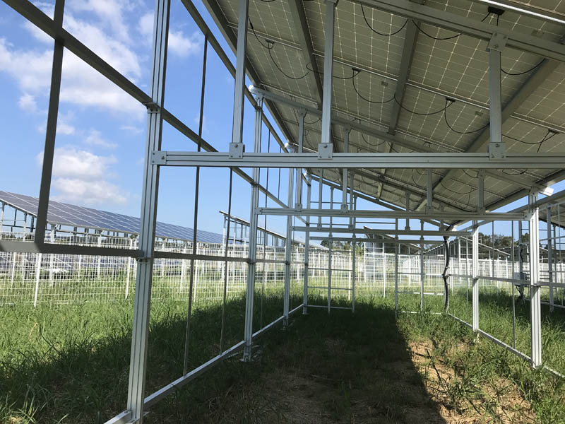 Solar Energy Agricultural Solar Mounting System For Farm image 2