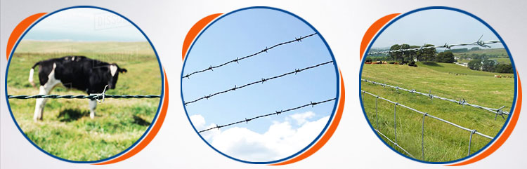 Automatic barbed wire making machine image 9