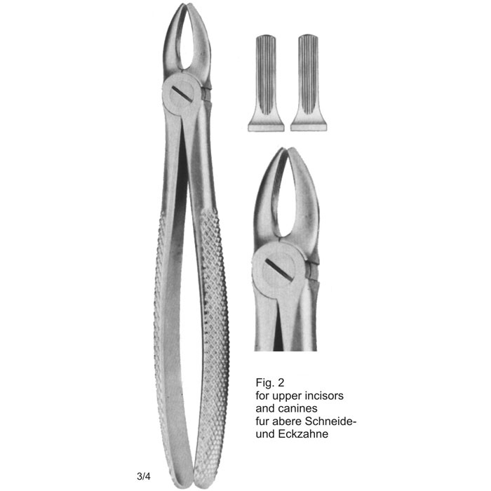 UA-902-86 Tooth Extracting Forceps (Eng Pattern)