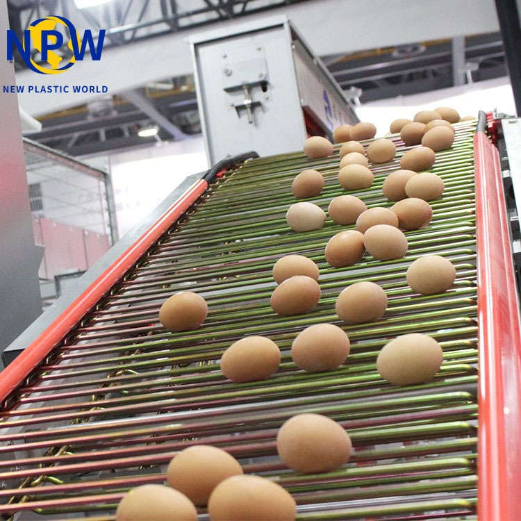 H-Type Automatic Egg Layer Chicken image 2