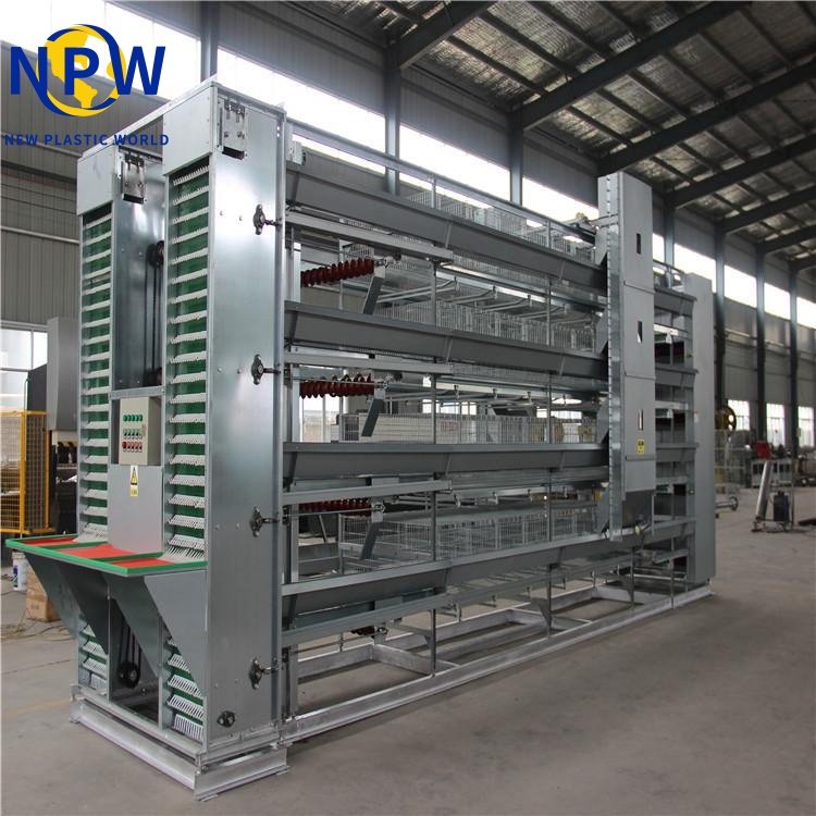 H-Type Automatic Egg Layer Chicken image 4