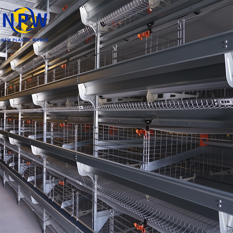 H-Type Broiler Cage Equipment image 2