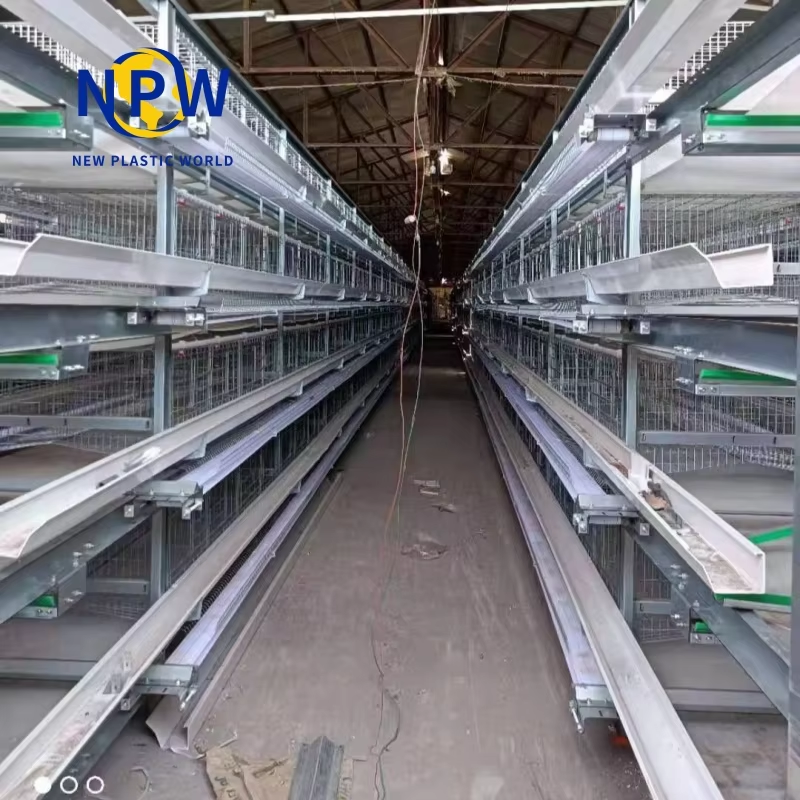H-Type Broiler Cage Equipment image 3