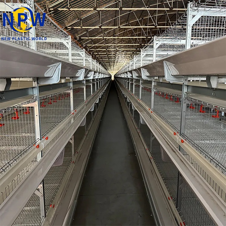 Broiler Poultry Farming H Type Fully Automatic Battery Chicken Broiler Cage System image 3