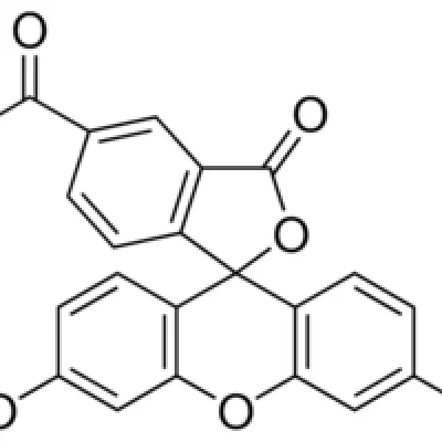 5-Carboxyfluorescein (5-FAM) - CAS No: 76823-03-5