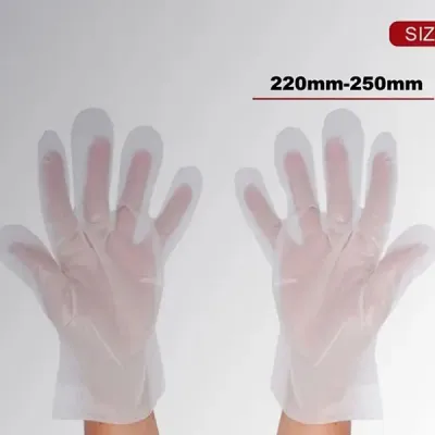 Disposable TPE Glove