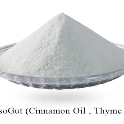 EssoGut (Cinnamon Oil, Thyme Oil)