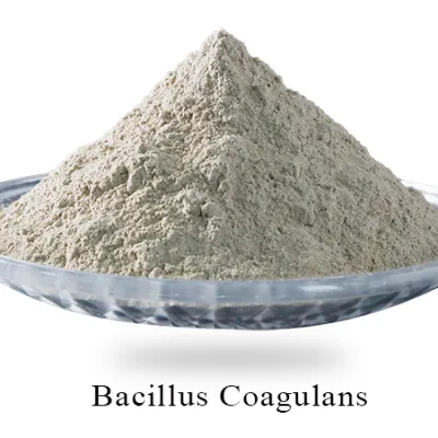 Bacillus Coagulans