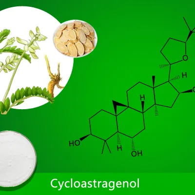 Cycloastragenol (1.00%-99.00%)