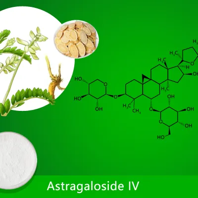 Astragaloside IV (0.30%-99.00%)