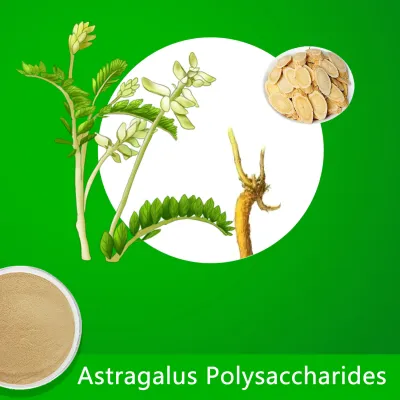 Astragalus Polysaccharides (20.00%-70.00%)