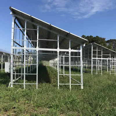 Solar Energy Agricultural Solar Mounting System For Farm
