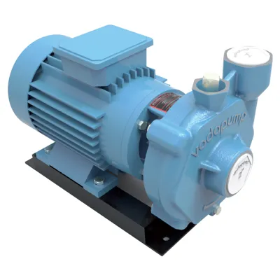 TSL - 50 Three Phase Monoblock Electro-Pumps