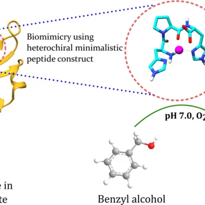 De Novo Enzyme Design Service