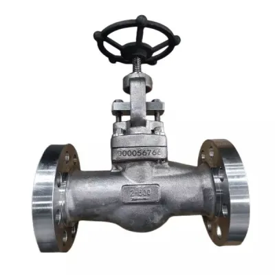 ASTM A182 F51 Globe Valve, ASME B16.34, 2 Inch, 600 LB, RF