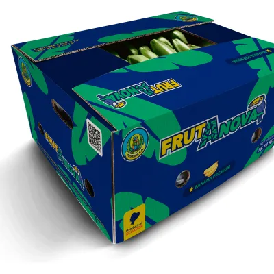 FRUTANOVA - Premium Fresh Cavendish Banana